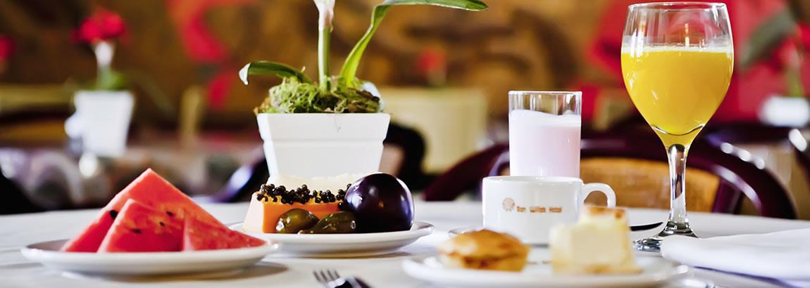 San Willa'S Hotel Sao Miguel d'Oeste Dış mekan fotoğraf